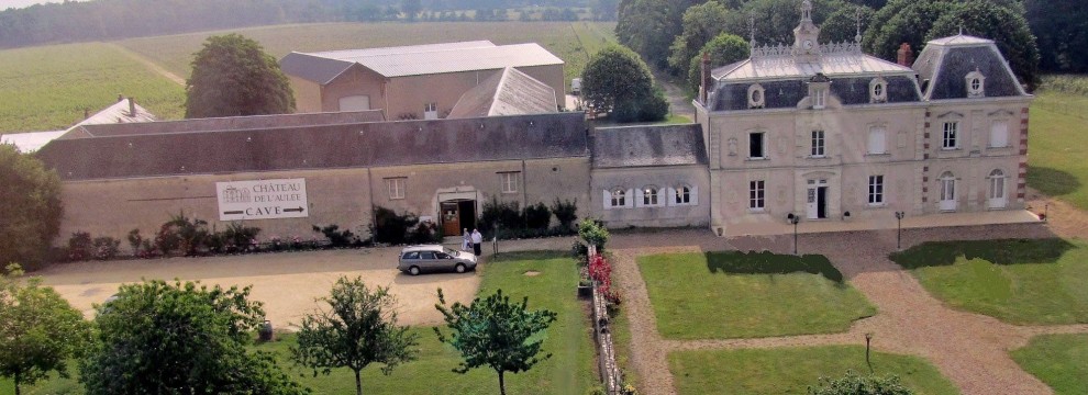Vue aérienne du Château de l